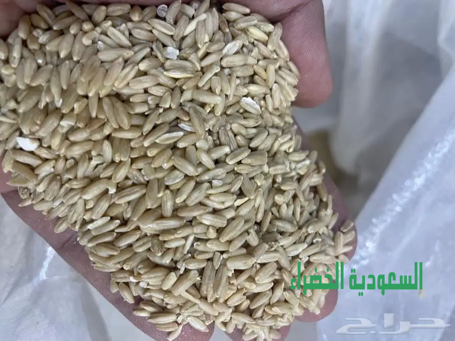 اعلاف لجميع الطيور بسعر مميز